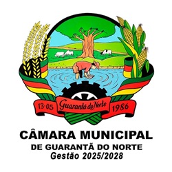 LOGO CÂMARA 2025 PRETO - 3.jpg